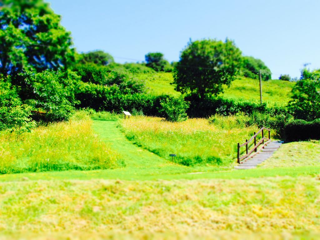 Hele Valley Holiday Park Ilfracombe Exterior foto
